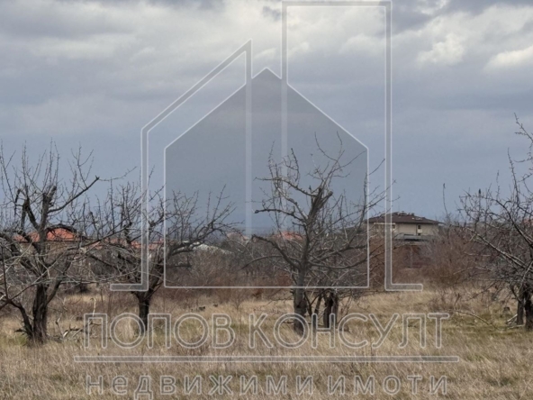 Панорамни УПИ-та в село Брестник - 0