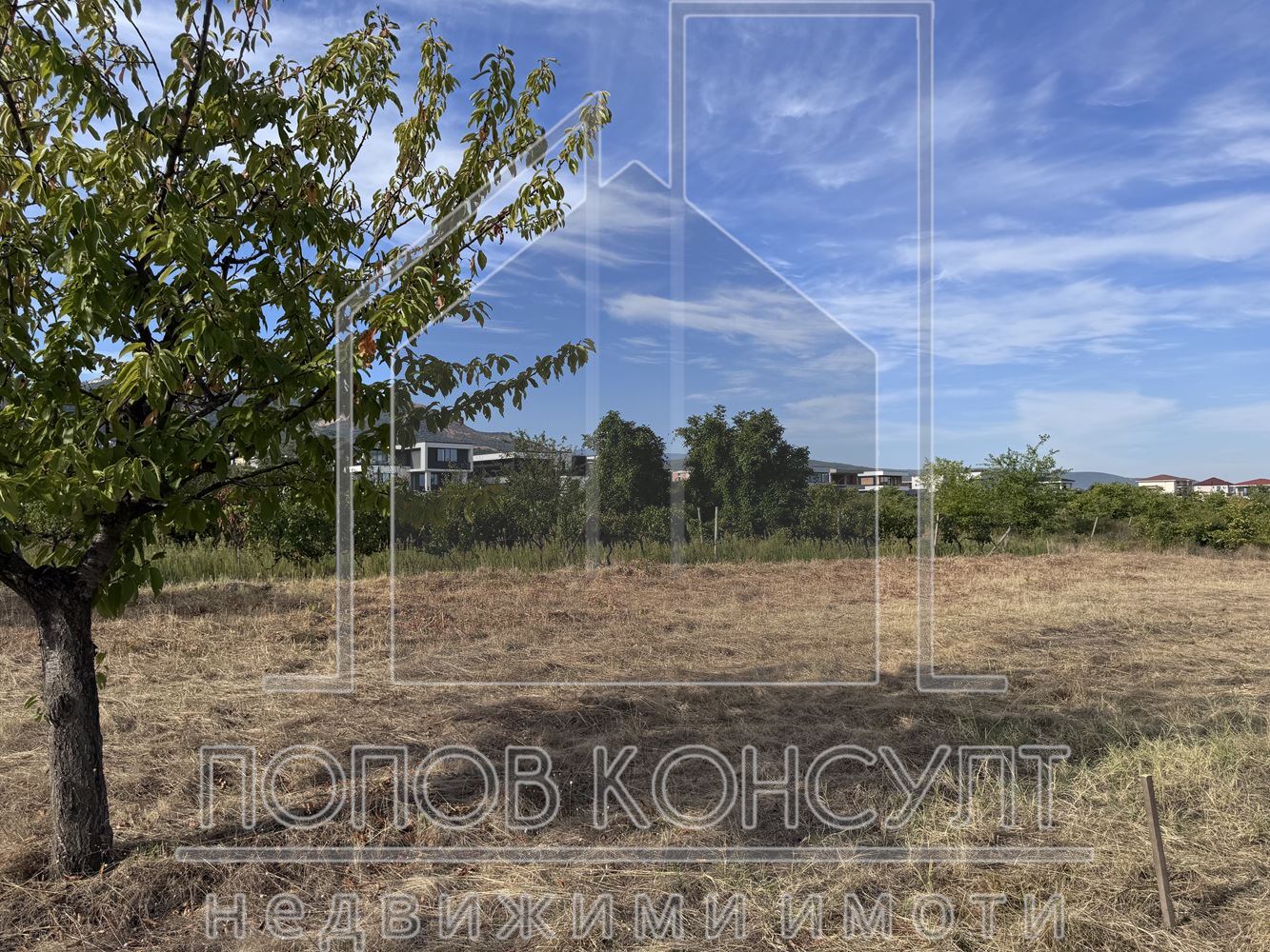 Парцели в село Белащица - 0